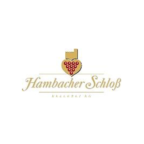 Zur Webseite von Hambacher Schloss